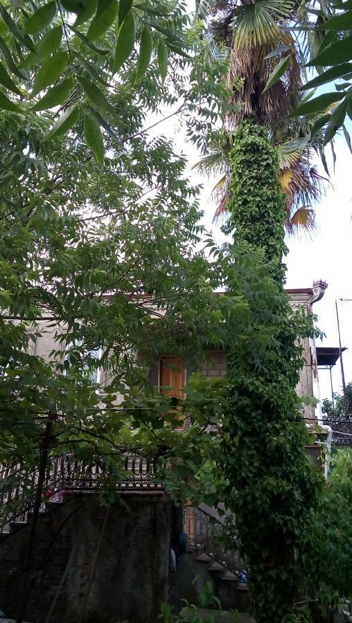 Elco Hotel Zugdidi Kültér fotó