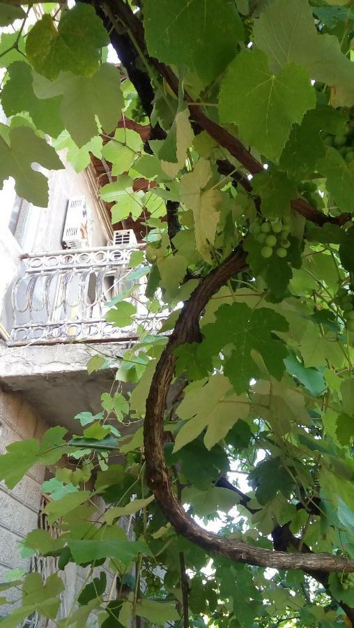 Elco Hotel Zugdidi Kültér fotó